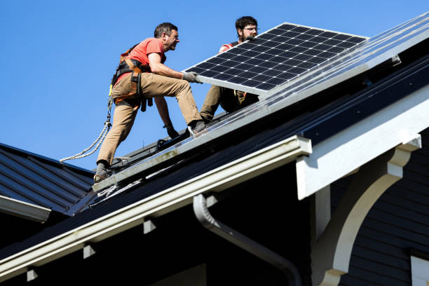 Best Roof Moss and Algae Removal  in Hoquiam, WA
