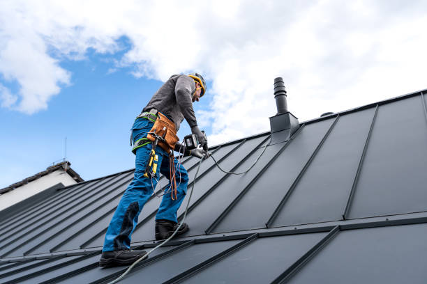 Best Roof Maintenance and Cleaning  in Hoquiam, WA